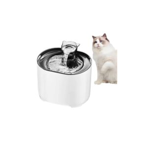 bebedero fuente gatos